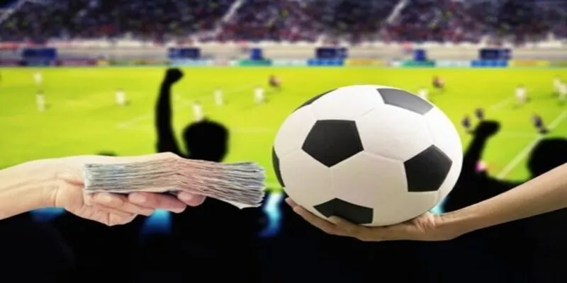 Mẹo đọc tâm lý thị trường cá cược bóng đá chuẩn cho tân thủ