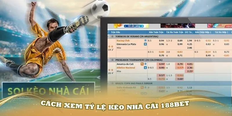 Nhận xét chân thực từ người chơi thực chiến về uy tín nhà cái