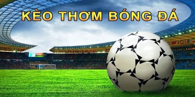 Những điều cần lưu ý để hạn chế bẫy từ nhà cái